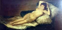 Maha meztelen   Francisco de Goya