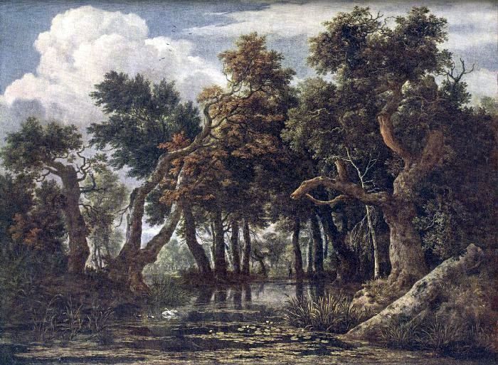 Marshes   Jacob van Ruisdal